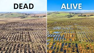 They're Transforming Dead Land Into Thriving Wetlands