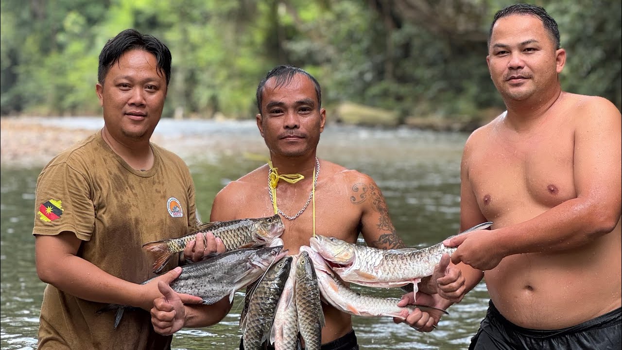 DAY-1 // CAMPING DI HULU SUNGAI PESU,TUBAU // MEMBURU IKAN MAHSEER SARAWAK //