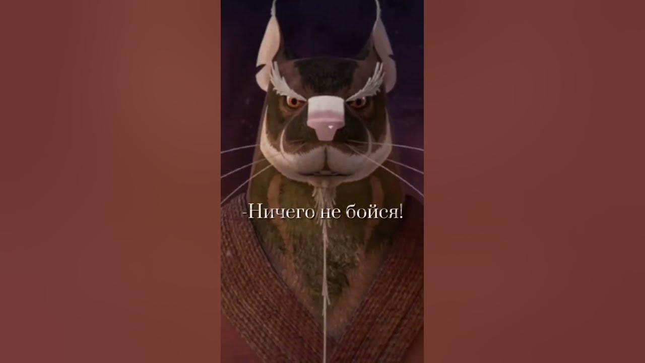 #лео #черепашки_ниндзя #шредер #супер #сплинтер - YouTube