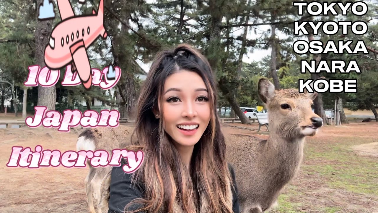 10 Day Itinerary in Japan: Tokyo, Kyoto, Osaka, Nara, and Kobe - Food and Recommendations