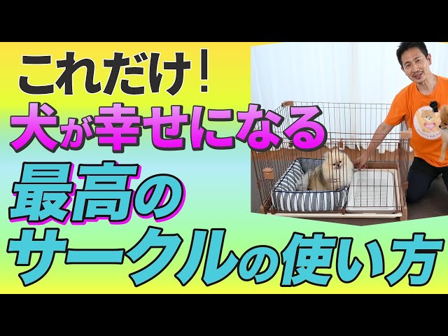 ペットサークル　しつけ　 sddefault.jpg