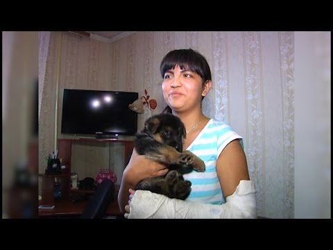 Владимир Путин подарил казанской школьнице щенка