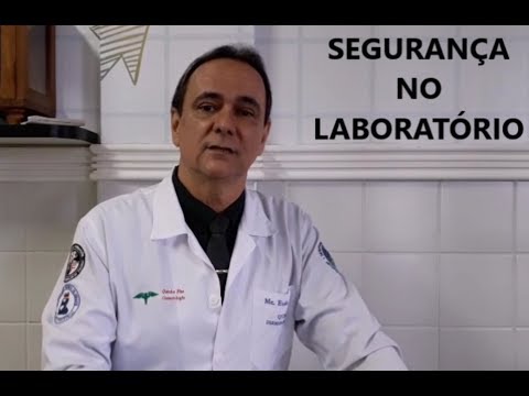 Vídeo: Como Organizar O Trabalho De Laboratório