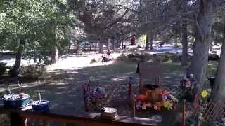 WP 20140618 004