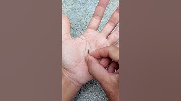 Cách sử dụng lưỡi câu cắm cá lóc hiệu quả