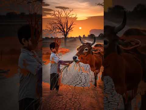 guy ka dharm 🐄#🔥viral #shortsfeed #motivation #trendingshorts #shorts #animals #cartoon #new