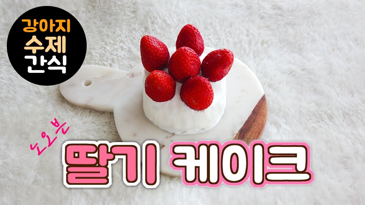 강아지 수제 케이크! 노오븐 딸기 케이크 만들기 강아지 케익 강아지 케이크 강아지 간식