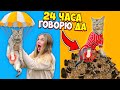 24 ЧАСА ГОВОРЮ ДА КОТУ БЕЗ ЛАПЫ | СКУПИЛИ ВСЕХ МЫШЕК