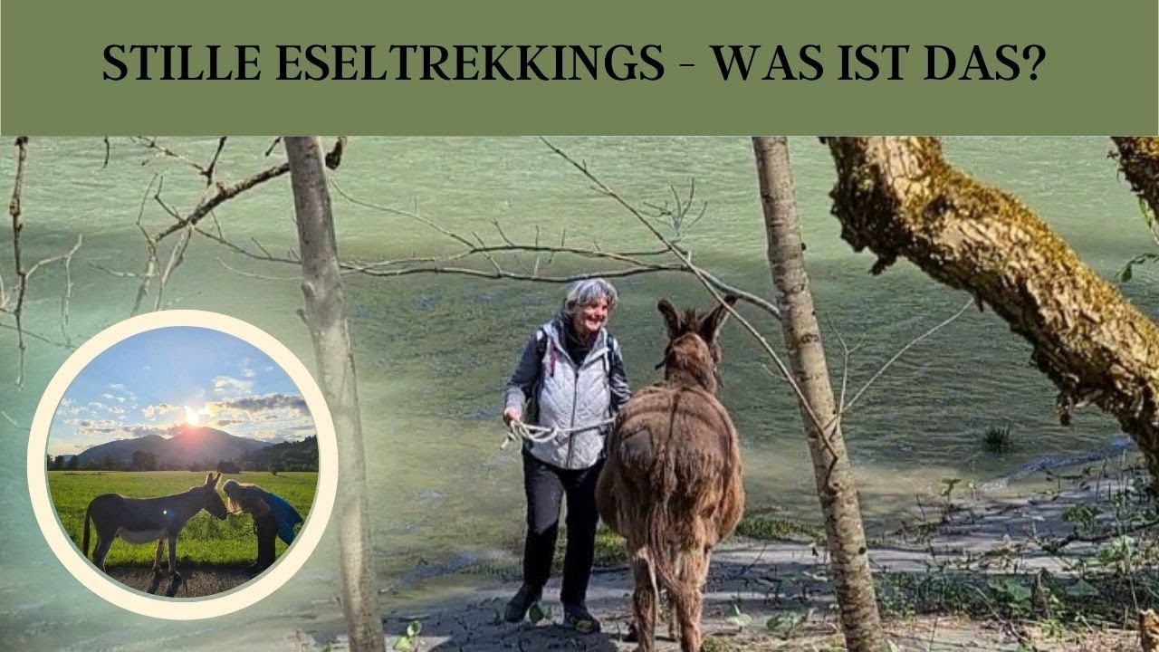 Was ist ein Stilles Eseltrekking und was bringt es dir