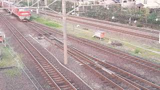 新潟近郊の貨物列車 4094レ 高速貨物B 札幌ター名古屋タ