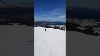 På vei ned fra Ruten i Tydal 12/6-20