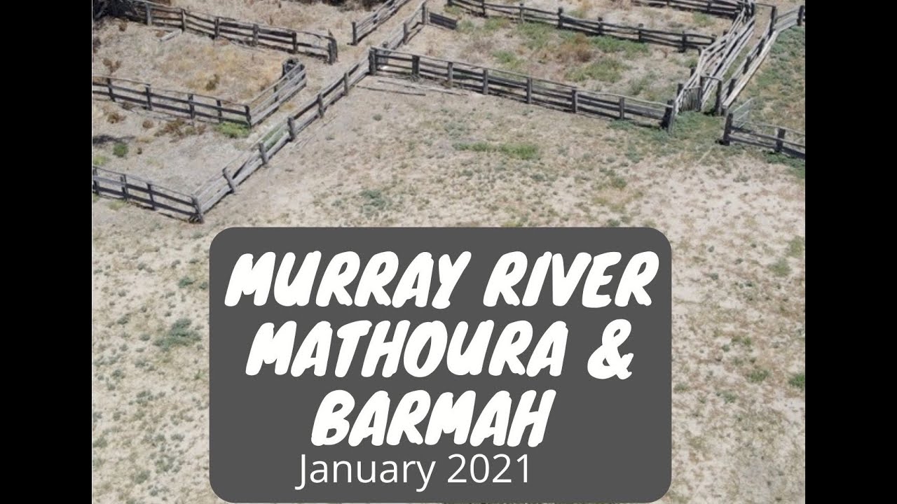 MURRAY RIVER MATHOURA & BARMAH YouTube