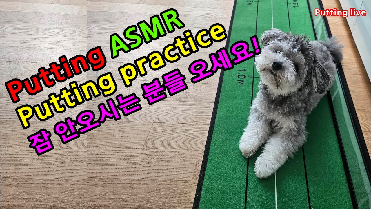Golf practice Putting ASMR LIVE  Day 08