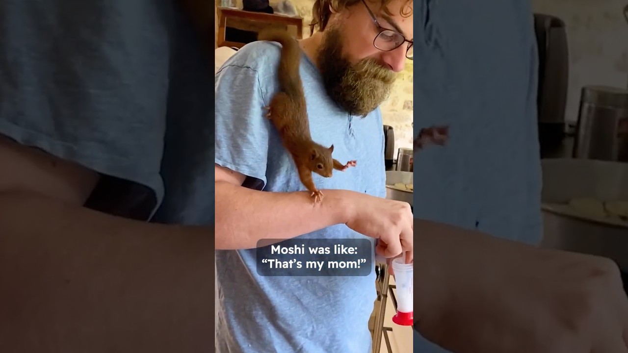 Baby squirrel was found in time 