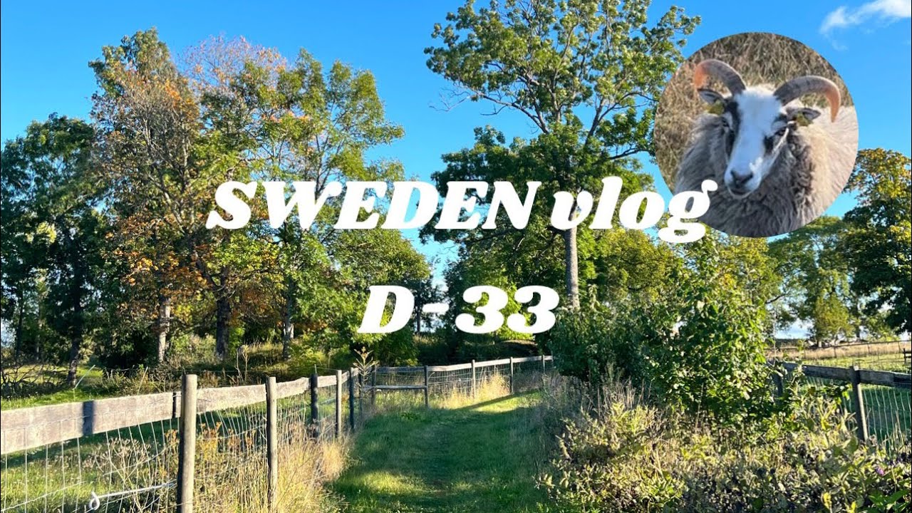 お散歩特集☀︎ウプサラの古墳: Håga mound へ【交換留学/スウェーデン/ウプサラ】