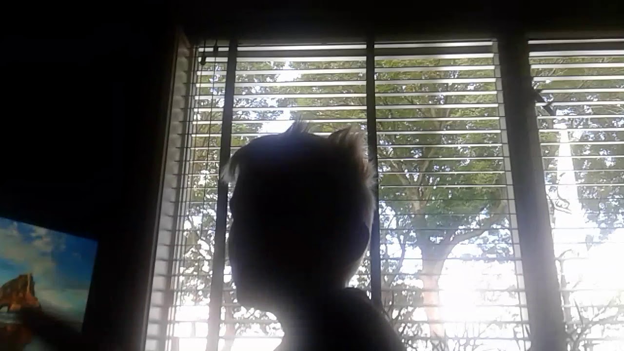 Jens speelt op roelof grens vores