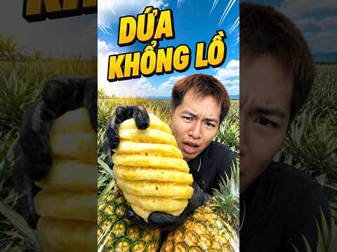 Dien Bien Giant Pineapple | Hai Dang Review