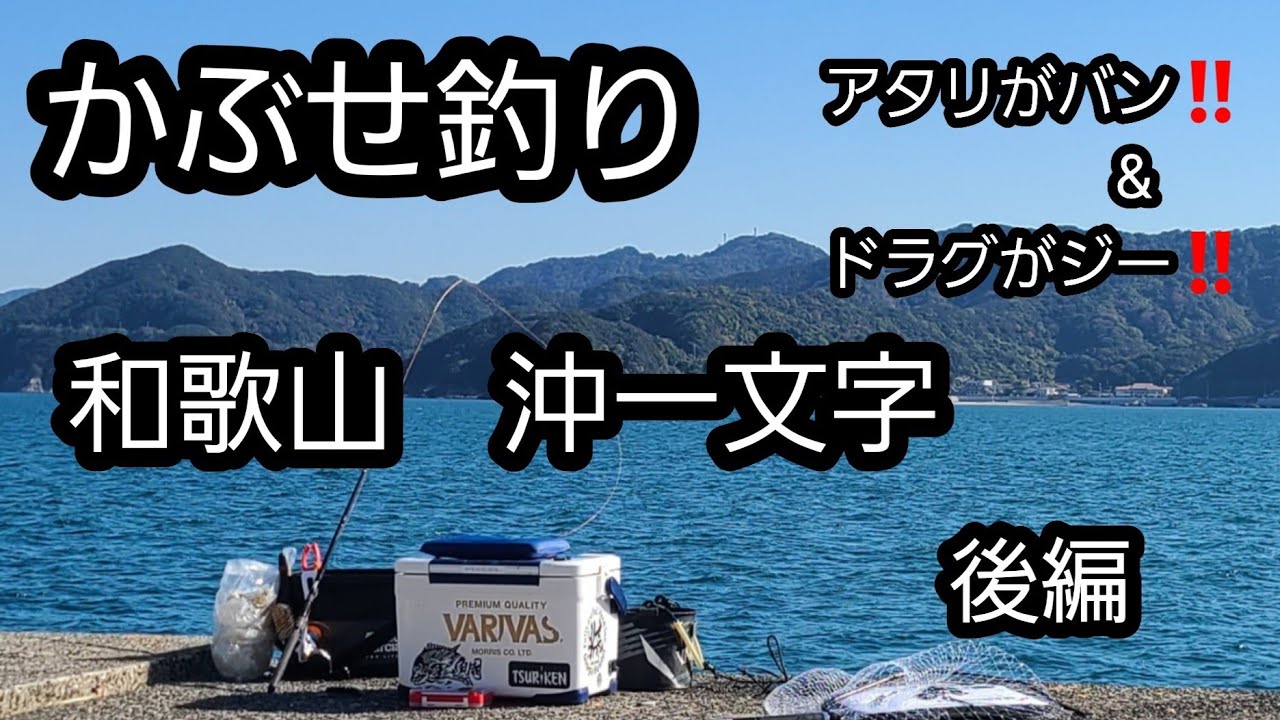 かぶせ釣り　後編　in和歌山一文字　【イシダイ60への道Ver2.2】
