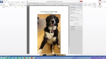 How-To: Save and Edit PDFs in Microsoft Word 2013