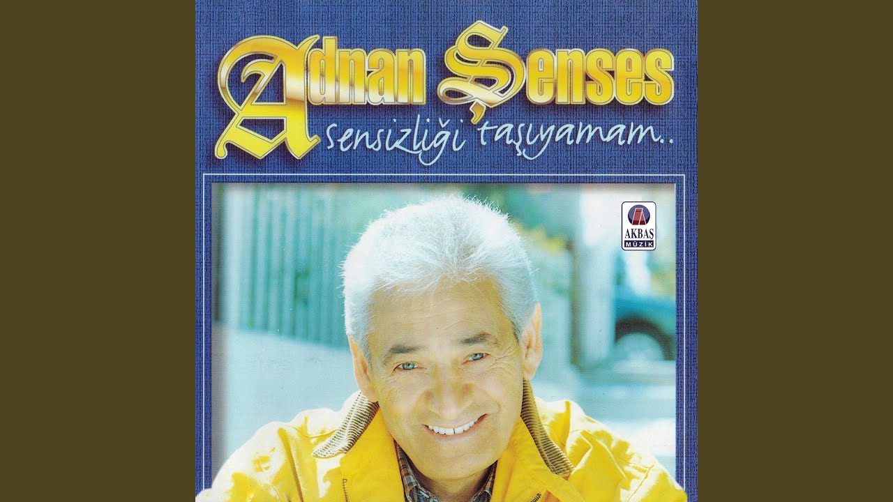 Sensizliği Taşıyamam