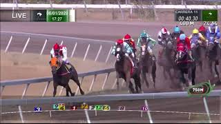Vidéo de la course PMU PREMIO PREDATOR (INTERNET)