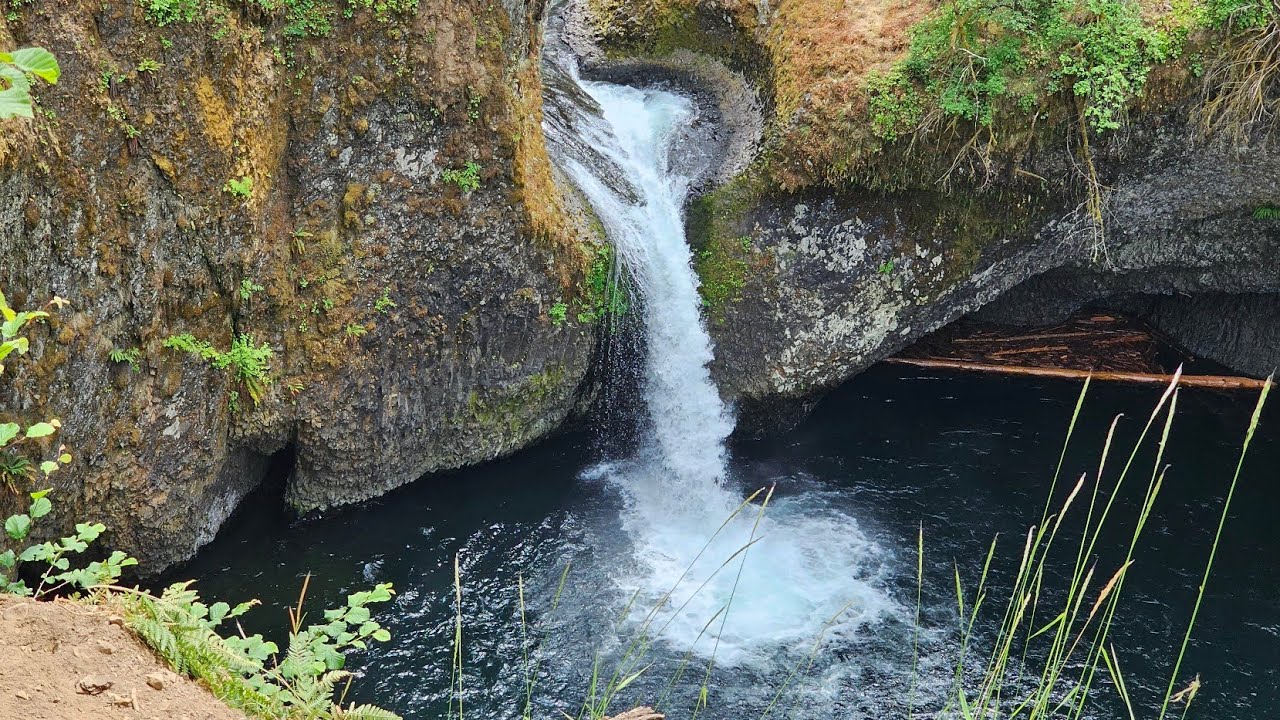 🍃 Sounds of the Gorge — Punchbowl Falls Soundscape
