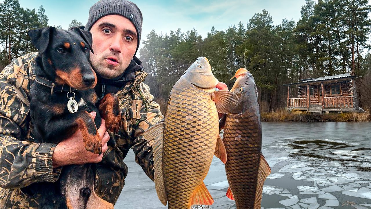 Ловля карпа на Хапуги, по первому льду.