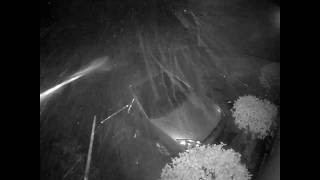 Man Drives Car In The Middle Of Tennessee Tornado Security Camera Footage