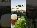 الليمون سدوم و ديمي Waddadi06 