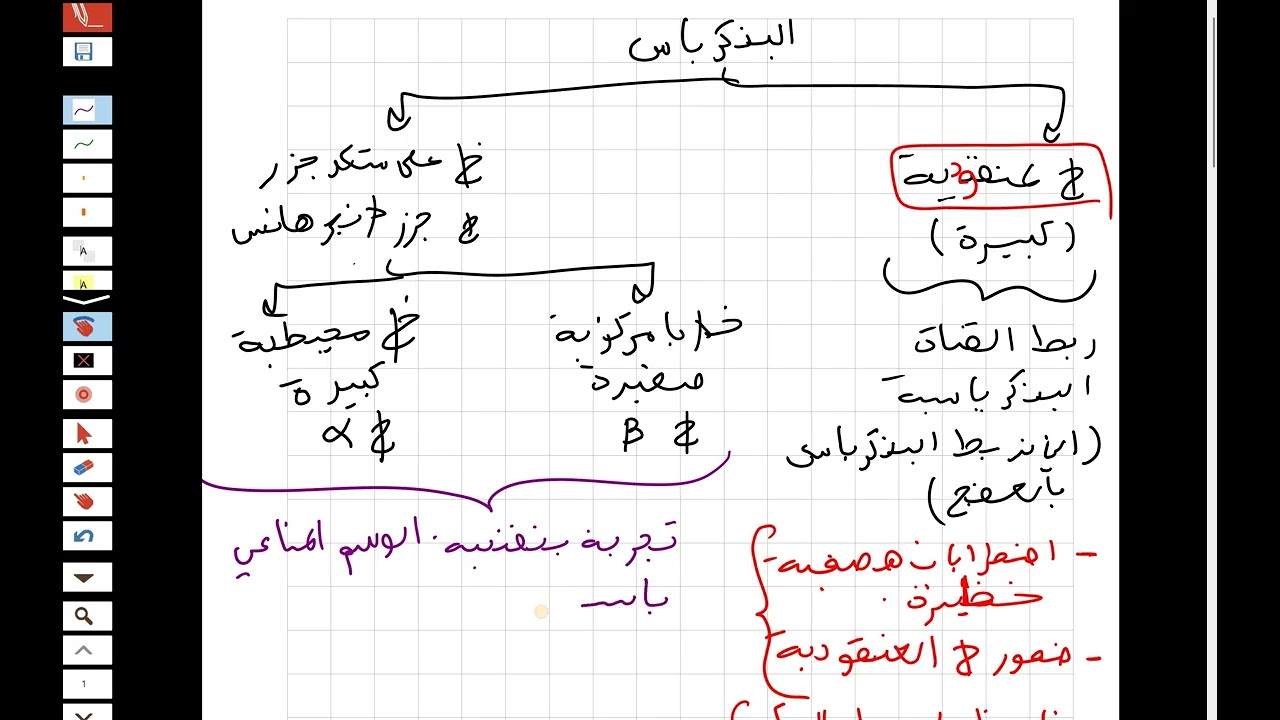 ملخص درس الخلايا المفرزة للهرمونات البنكرياسية الثانية ثانوي ع ت