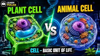 Plant Cell vs Animal Cell | Difference Between Plant Cell & Animal Cell | Biology