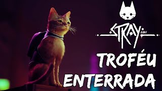 TROFÉU ENTERRADA - STRAY