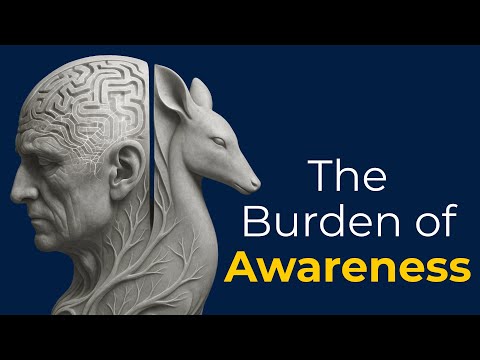 4 Hours of Philosophy on Whether Human Consciousness Makes Us Happier Than Animals to Fall Asleep To