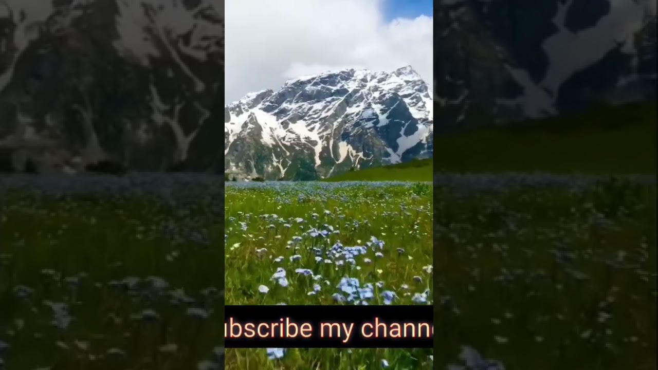 the natural beauty of chukail banda bahrain | flowers | study nature