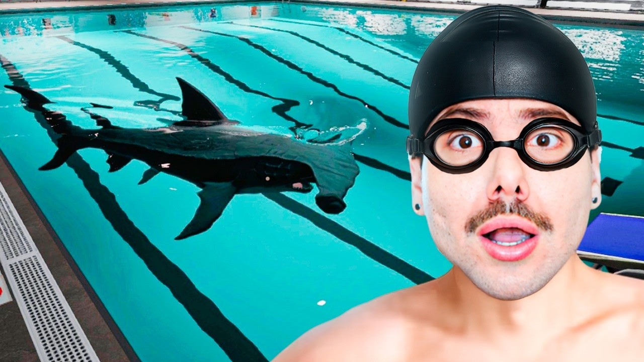 Odeio quando vou nadar e tem tubarão na piscina... (Sharks and Minnows)
