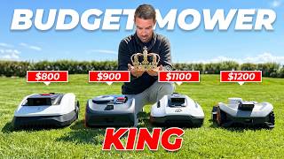 KING of the BUDGET MOWER