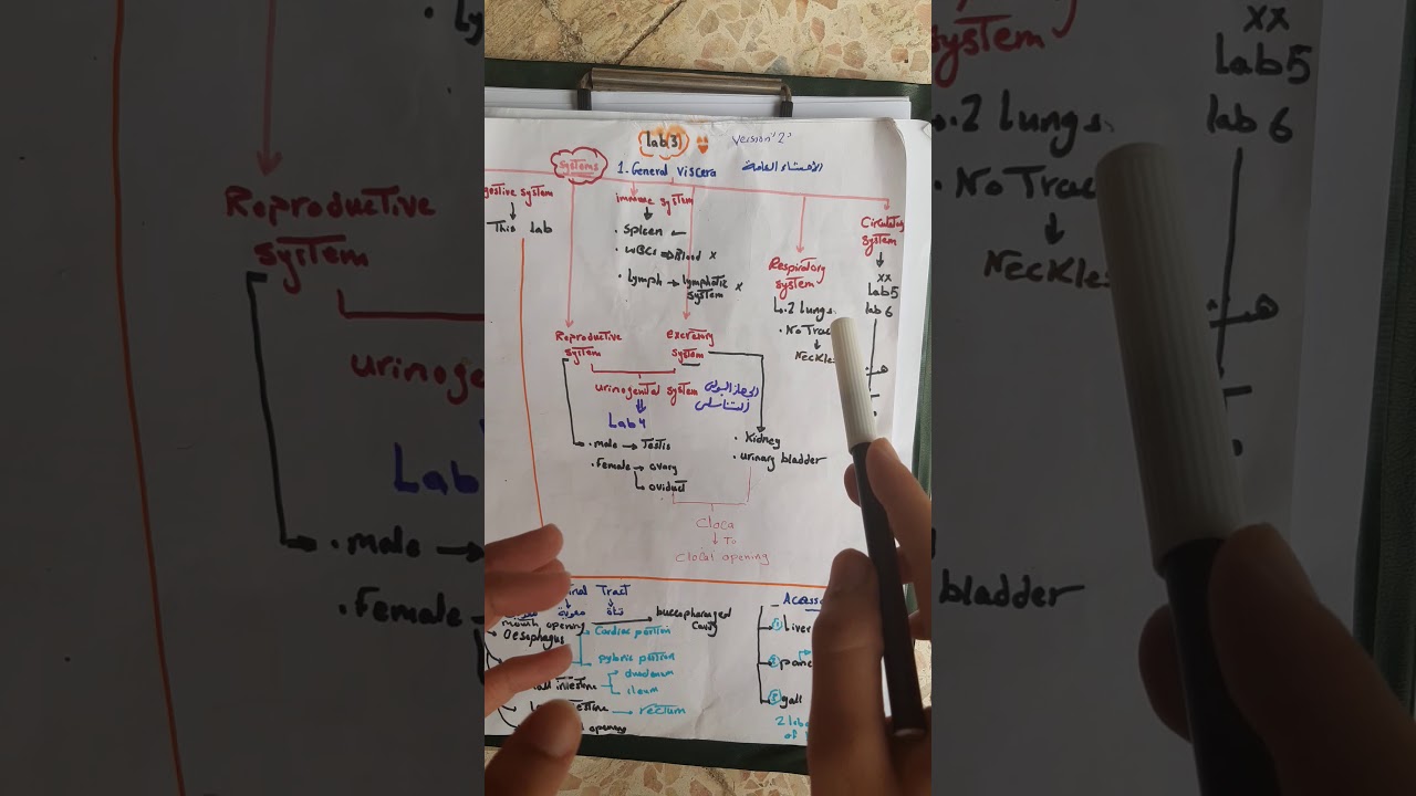 Dissection of general viscera of the frog🐸 ( introduction part 1)