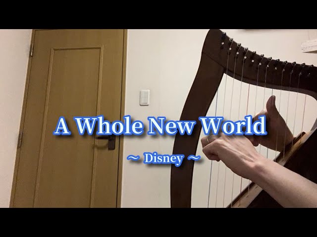 ベイビーハープ12弦で「ホール・ニュー・ワールド」 アラジン