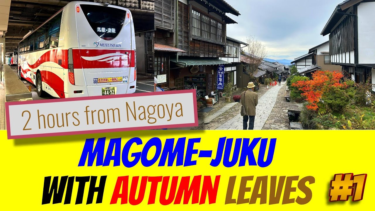 [Автобус-экспресс] Осенью Магомэ-дзюку лучше всего смотрится в окружении осенней листвы [Накасэндо]
