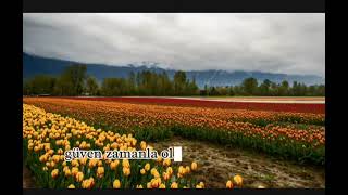 Sevmek Mi Zor Sevilmek Mi Sizce