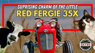 Why the Little Red Fergie 35X is so special!
