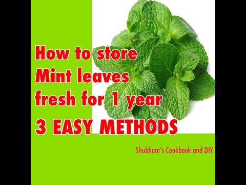 Video: How To Store Mint Properly