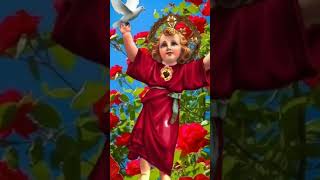 DIVINO NIÑO JESÚS MONTERREY NUEVO LEÓN
