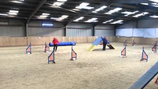 Alison and Zara Elementary Agility ABAA 3/1/14