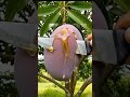 Allah pak ka Name #allah #subscribe #shorts #sehar #viral #trending #foryou #fyp #growth #share