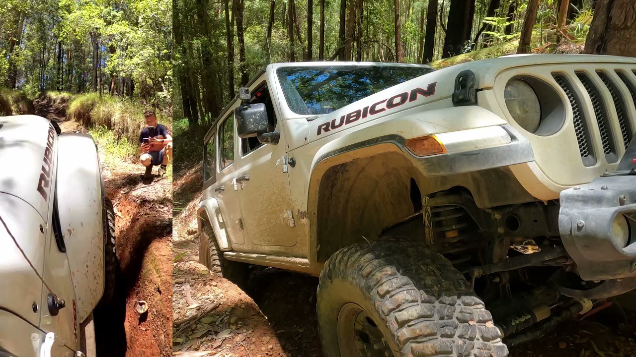 Koala Trail, Coffs Harbour - Jeep JL