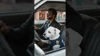 beautiful trip with 🐕#trendingshorts #mixplate #ytshorts #aivideo