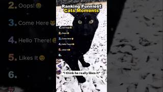 Ranking Funniest Cat Moments😂🤫