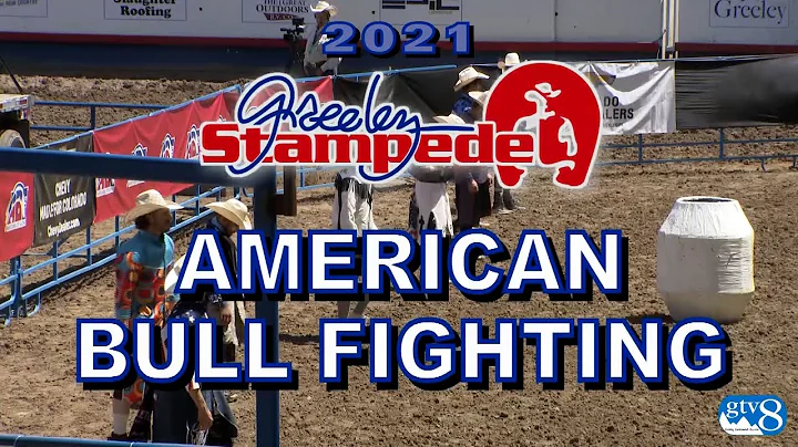 Greeley Stampede American Bull Fighting 2021 Highl...