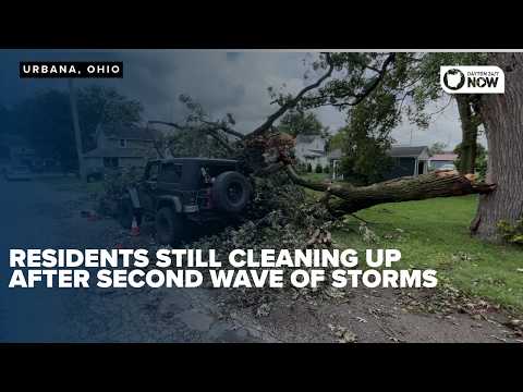 More than 400 damage reports filed as residents continue cleanup across Champaign County